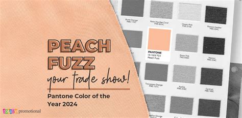 Peach Fuzz Your Trade Show Pantone Color Of The Year 2024 Totally