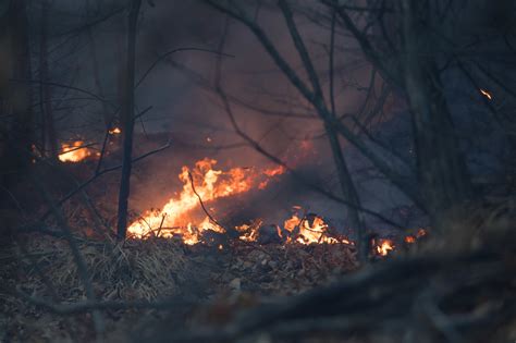 Duecento Gli Ettari In Fumo Per Un Incendio Sul Monte Martica Foto