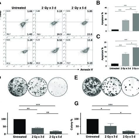 Prostate Cancer Cells Are Resistant To Firinduced Apoptosis Prostate