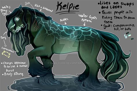 kelpie study  woolycow  deviantart