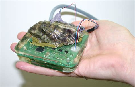 Bio-sensors: discovering the secret life of oysters – Distributed