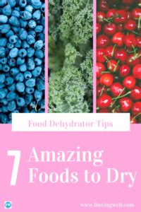 Food Dehydrator Tips: Amazing Foods to Dry - Fluxing Well