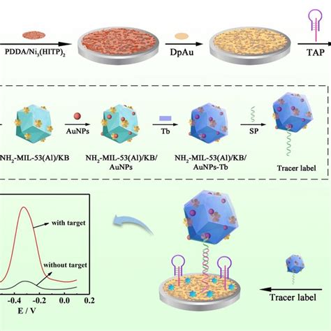 Schematic Diagram Of The Preparation Process Of Tracer Label And