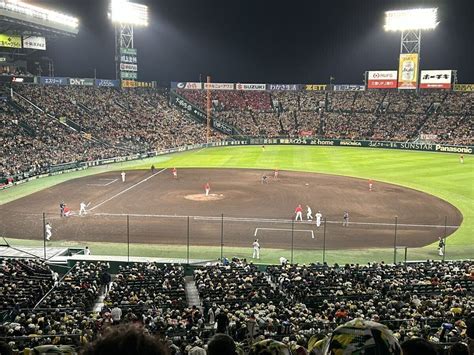 Yahooオークション 甲子園 阪神タイガースvs中日戦 9月3日火18 00