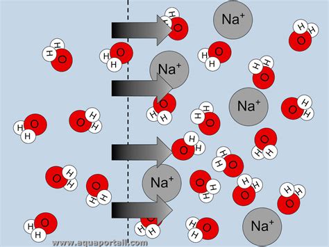 Potentiel De Pression Définition Et Explications