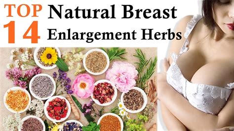 Natural Breast Enlargement Herbs Top Natural Breast Enlargement