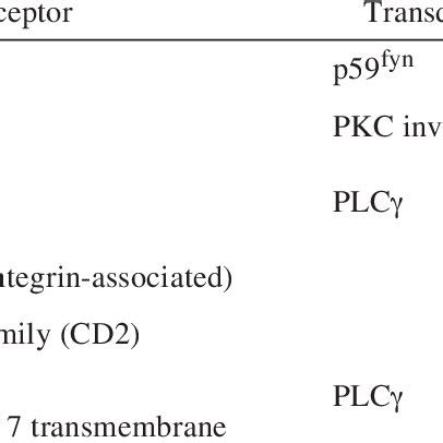 Major Signaling Pathways Associated with Focal Adhesion | Download Table