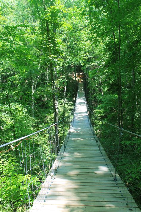 Tims Ford State Park Tennessee Planned Spontaneity