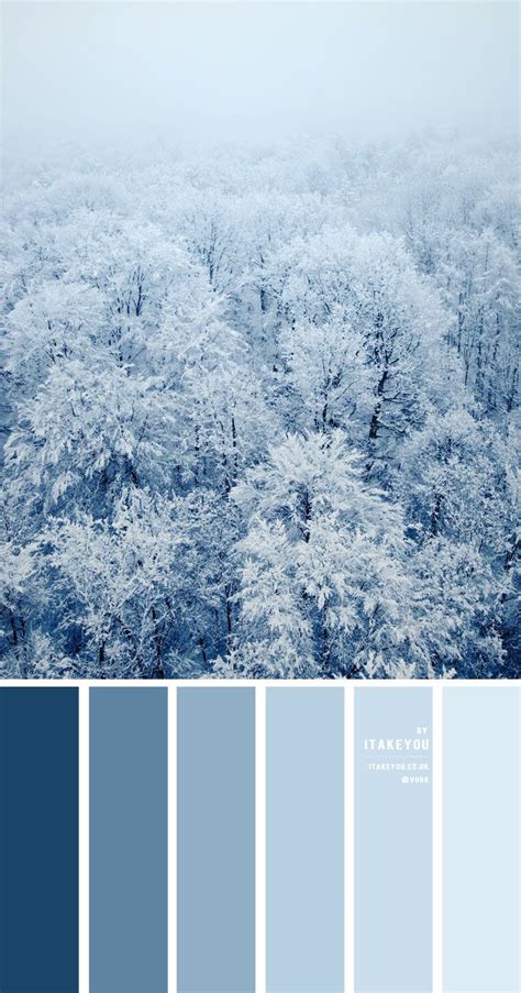 Blue Color Combinations Color Schemes Colour Palettes Winter Color