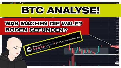 Dip gekauft BTC und ETH Analyse von einem Millionär Boden bereits