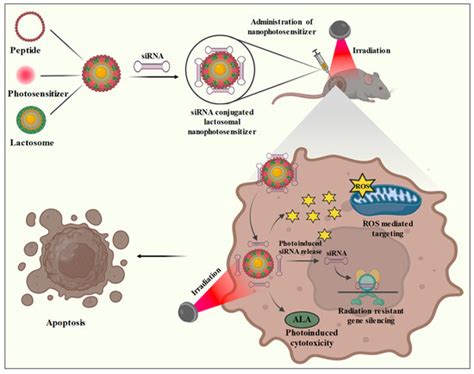 Bioengineering Free Full Text Recent Advances In Nanomaterials