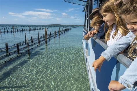 Coffin Bay Oyster Farm Boat Tour With Wading And 12 Oysters