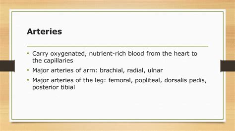 Solution Peripheral Vascular Assessment Studypool