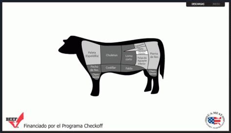 Cortes De Carne Bovina Mais Comuns No Brasil E No Mundo BeefPoint