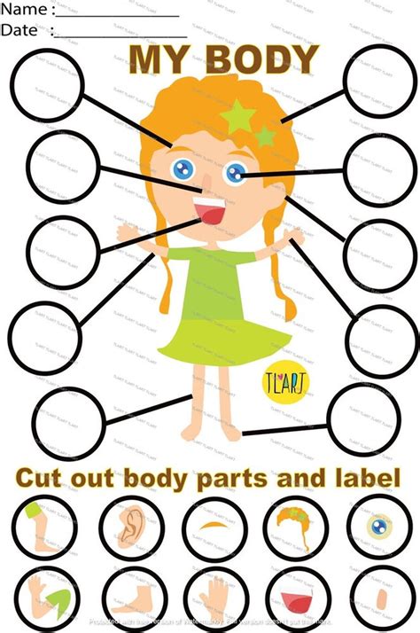 My Body Parts Labelling Activity Early Year Nursery Ks1 Teaching