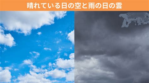 【晴れた日と色の違いがあるのはどうして？】雨雲が黒い理由を図解で解説！ ちーがくんと地学の未来を考える