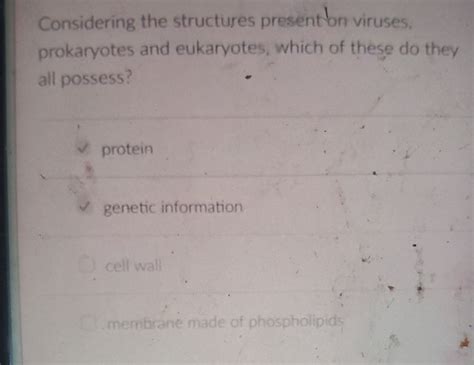 Solved Considering The Structures Presenton Viruses