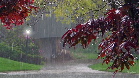 Autumn Rain Wallpapers - Top Free Autumn Rain Backgrounds - WallpaperAccess