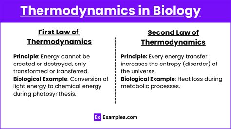 Unit 3 2 The Role Of Energy In Living Systems Notes And Practice