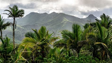 Puerto Rico’s stunning new trail traverses a tropical rainforest