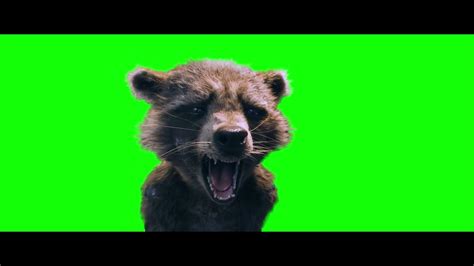 Rocket Raccoon Crying And Screaming Green Screen Youtube