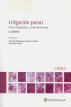 Litigación penal 2019 Visión sistemática y actual del proceso