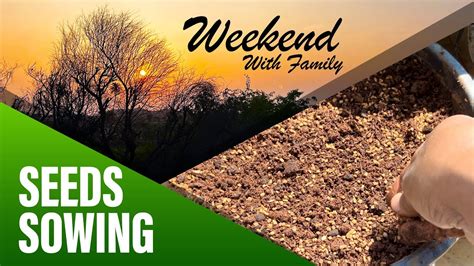 Seed Sowing Methods Weekend Vlog Sunday Special Vlog Youtube