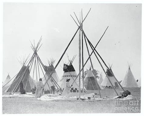 Native Americans Setting Up Teepees Photograph By Bettmann Pixels