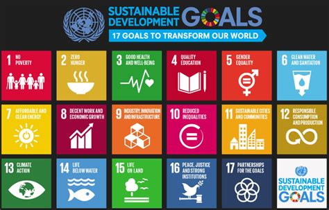 UN Sustainable Development Goals are influencing narrative, not policy ...