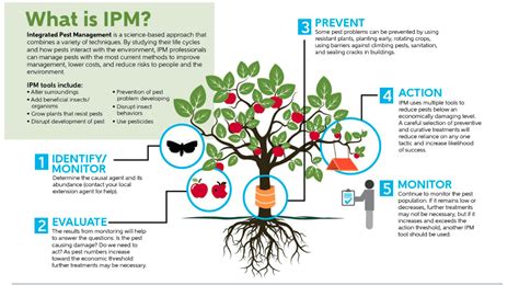 Integrated Pest Management Piedmont Master Gardeners