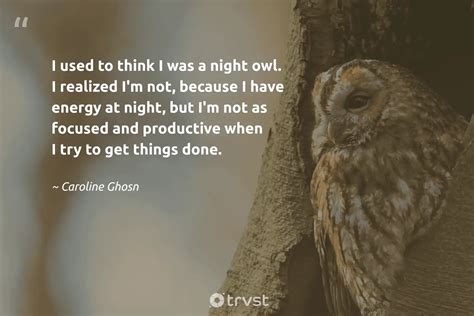 43 Owl Quotes, Captions, and Sayings to Make You Wiser