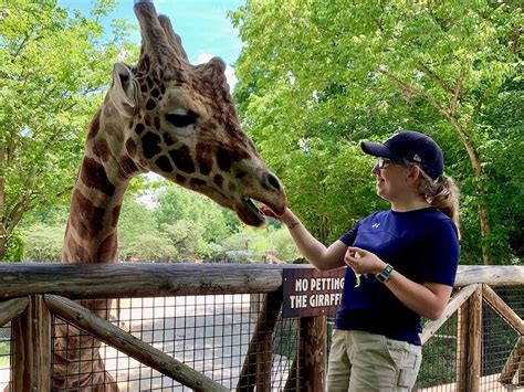 How To Become A Zoologist - Unity Environmental University