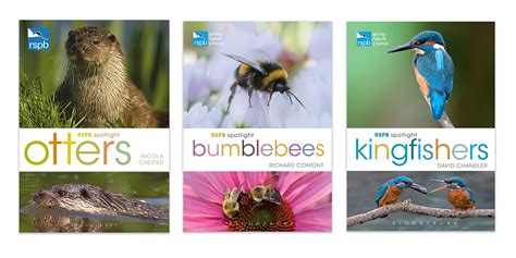 Top 10 Nature Photography Books for Photographers this Christmas - Nature TTL