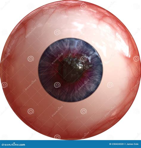 Gouged Bloodshot Eyeball On White Background Stock Illustration