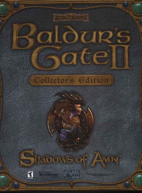 Baldur S Gate II Shadows Of Amn Collector S Edition 2000 MobyGames