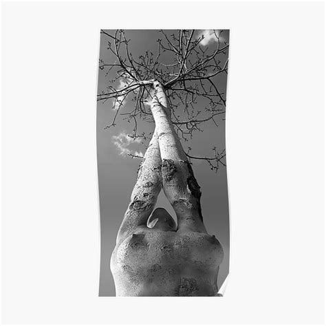 Tree Of Life Nude Art Print Erotic Sexy Collage Woman Girl Naked Poster For Sale By MDAMYANOV