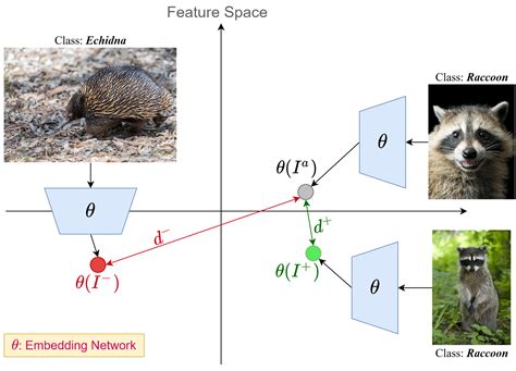 The Beginner’s Guide To Contrastive Learning