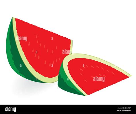 Watermelon Raw Stock Vector Images Alamy