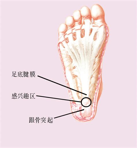 肛周坏死性筋膜炎手术高清图片有来医生