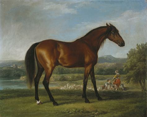 Collection Of George Stubbs Horse Paintings