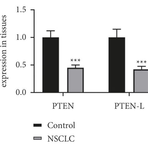 A Decrease In Pten And Pten L Expression Was Observed In Nsclc Tissues