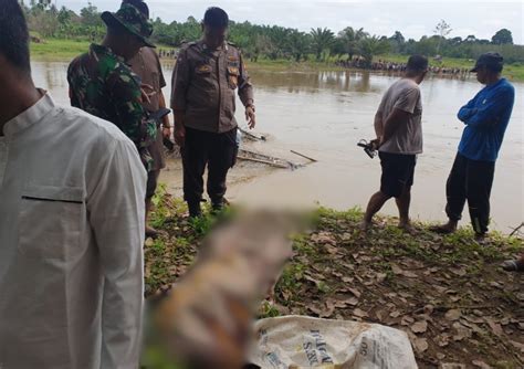 Bungo Geger Mayat Tanpa Kepala Ditemukan Di Sungai Batang Tebo