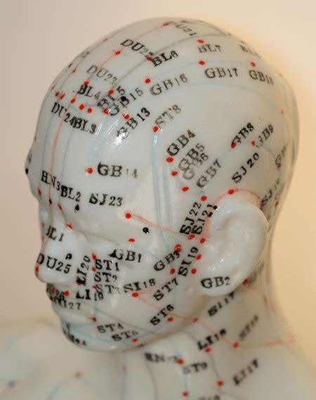 Head Acupuncture Points Chart