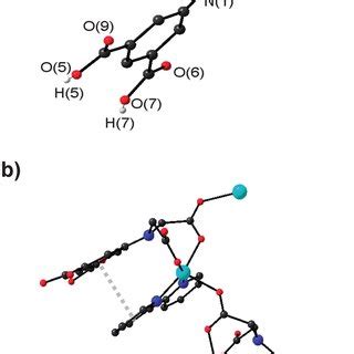 A Coordination Environment Of The Cu Ii Ion In B D Chain