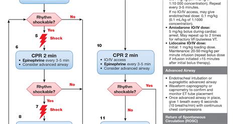 Er Goldbook Pals Cpr