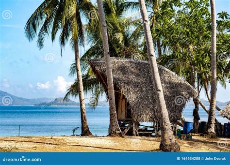 Tropical Island Huts