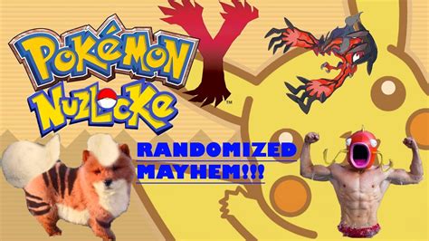 POKEMON Y RANDOMIZER NUZLOCKE 1 THE START OF SOMETHING BeAuTiFuL