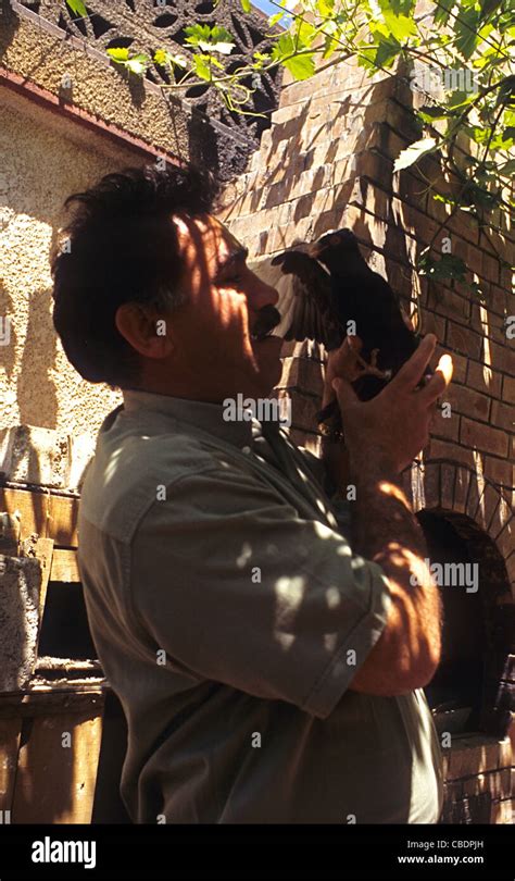 PKK leader, Abdullah Ocalan with favourite pigeons before his capture ...