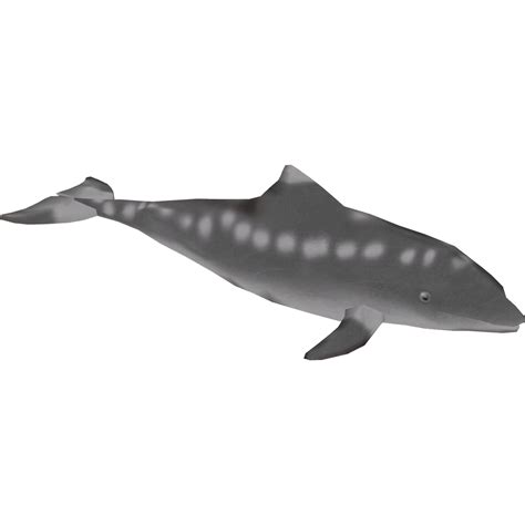 Categoryextinct Cetaceans Zt2 Download Library Wiki Fandom