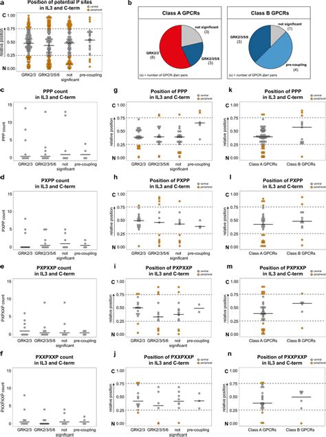 Putative Phosphorylation Motifs In Il And C Terminus Of Gpcrs Are Not